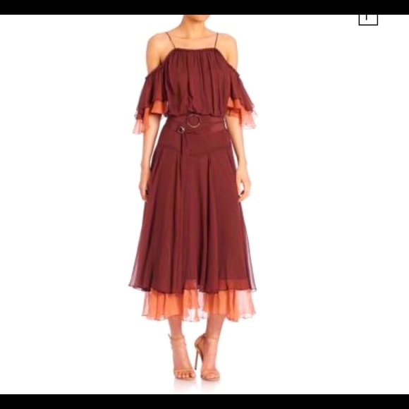 NWT cinq a sept 100% Silk Dress - Picture 1 of 16